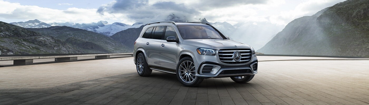 Mercedes-Benz GLS parked by a cliff side